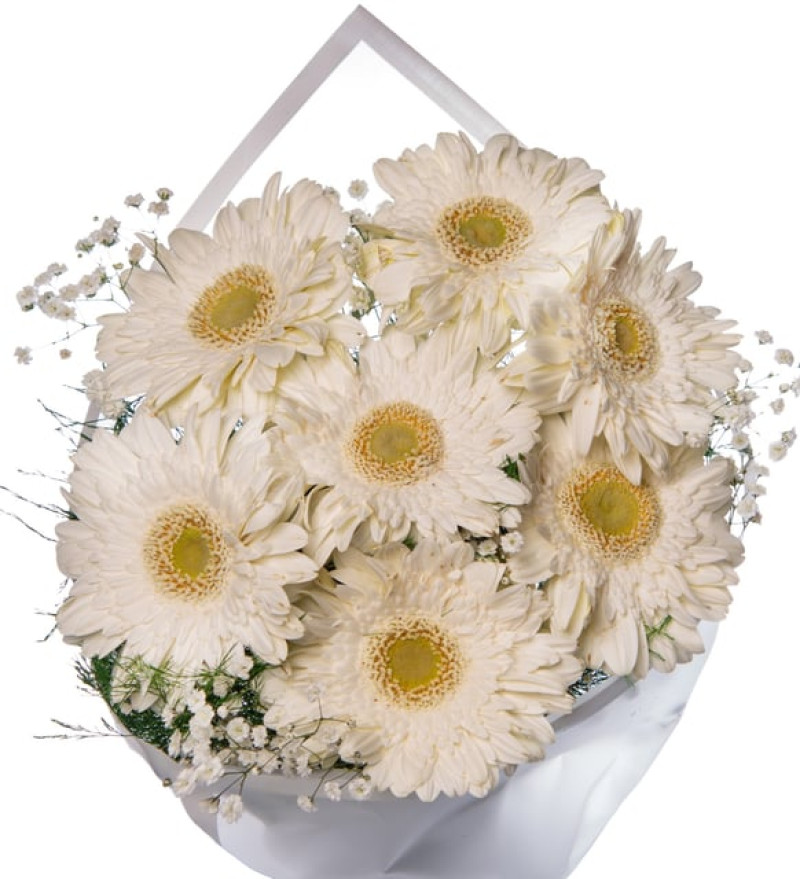 Beyaz Gerberalar Çiçek Buketi Lolaflora
