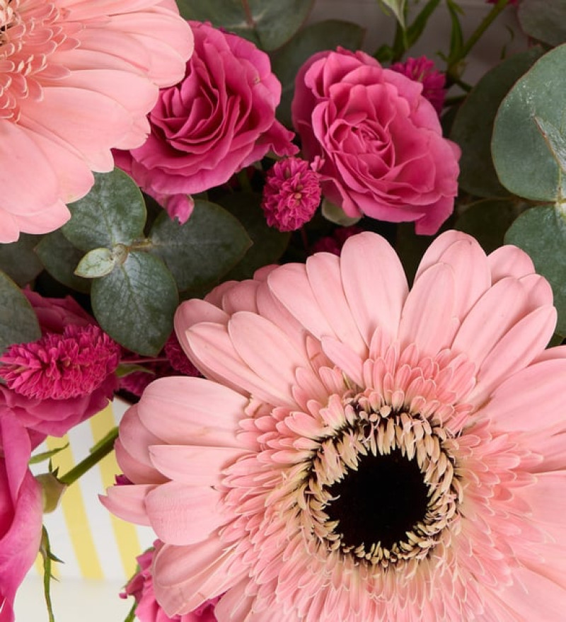 Sarı Çizgili Zarfta Pembe Gerberalar ve Güller