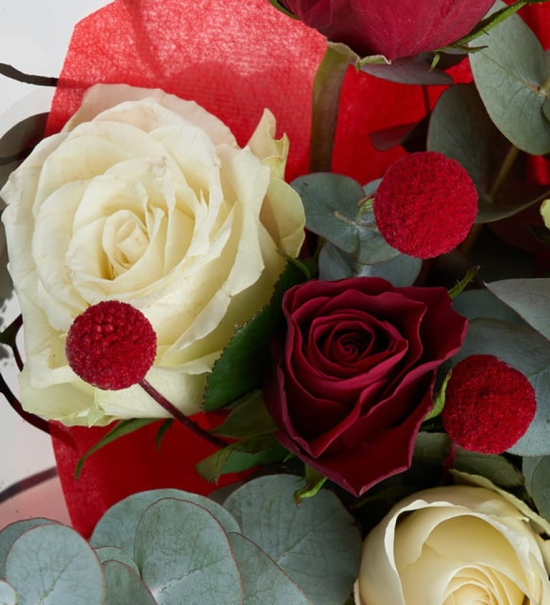 Kelebek Bukette Kırmızı ve Beyaz Güller