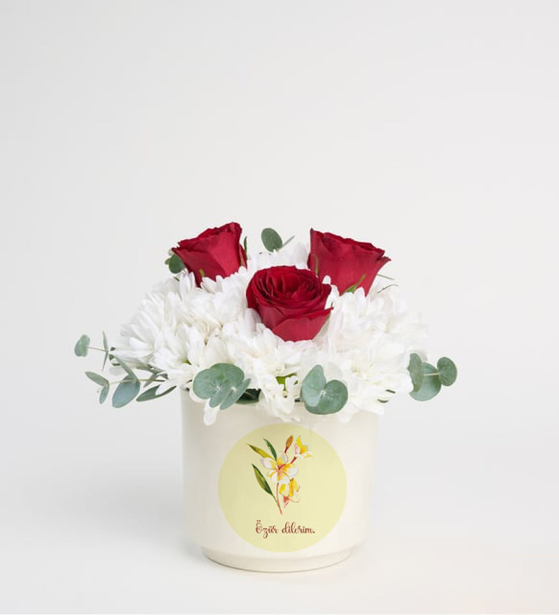 Özür Dilerim Vazolu 3 Kırmızı Gül ve Papatya Aranjmanı